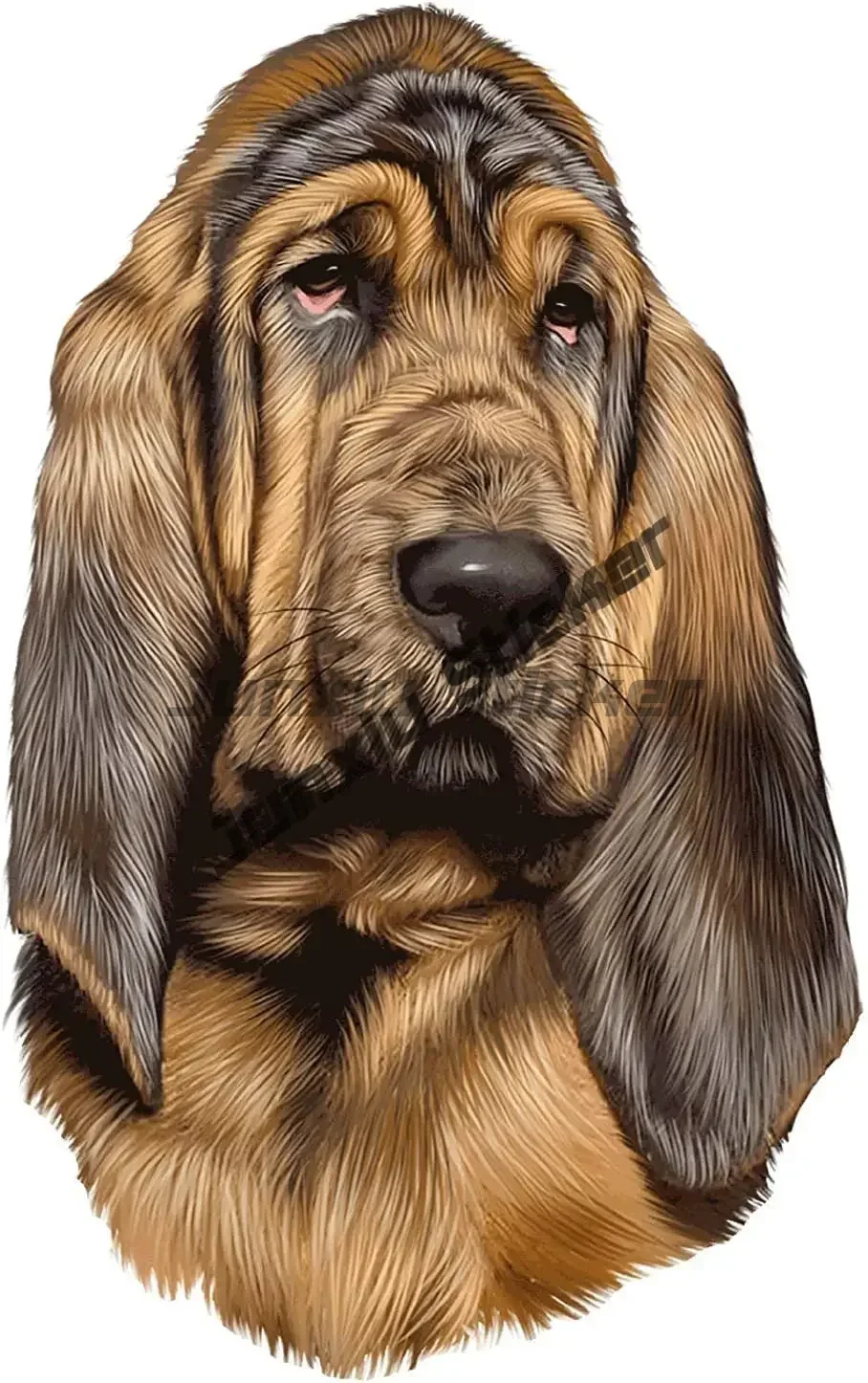 Car Stickers Funny Bloodhound  - Laptop Accessories Brand incelemesi ve fiyatı