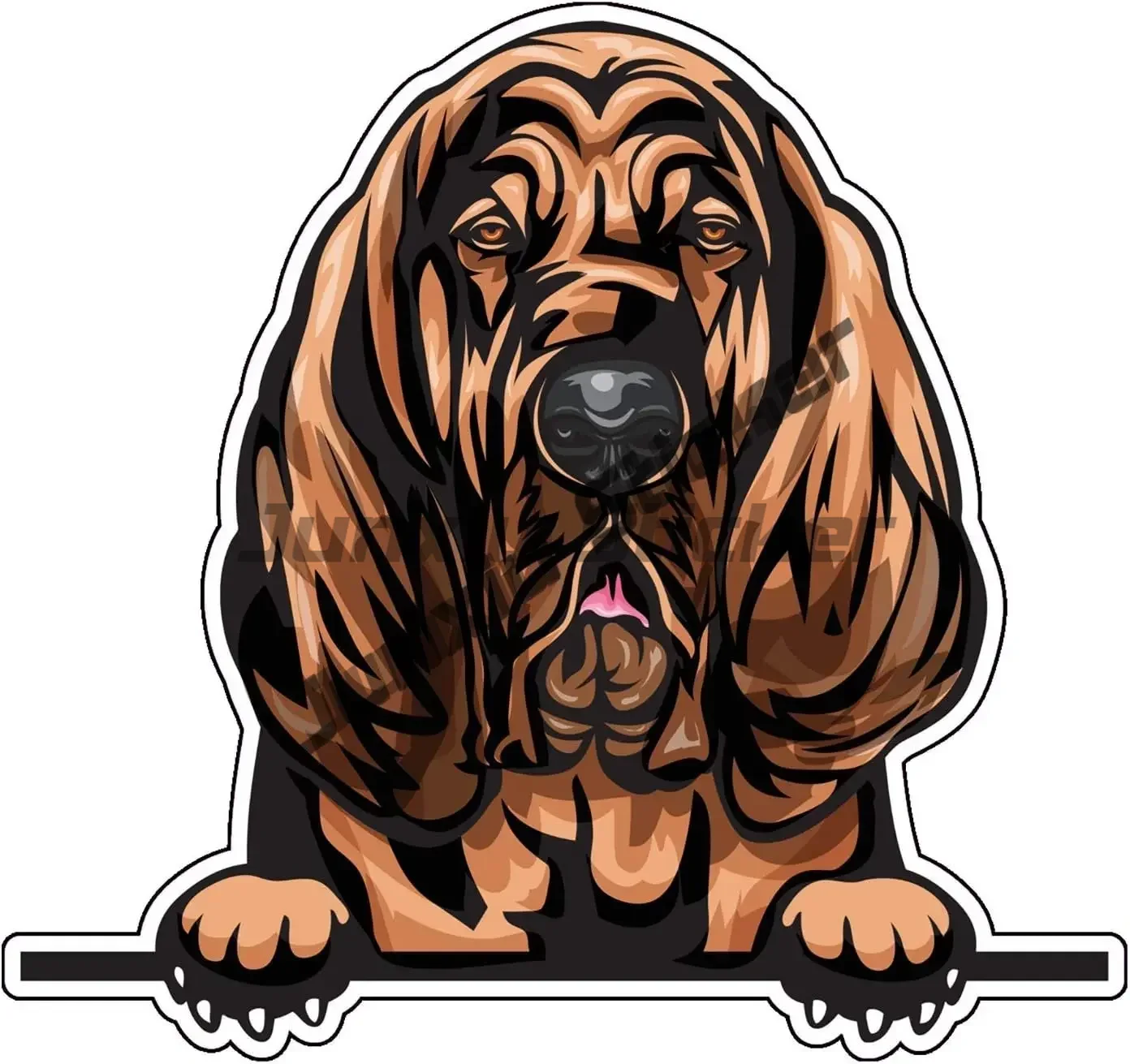 Car Stickers Funny Bloodhound  - Laptop Accessories Brand incelemesi ve fiyatı